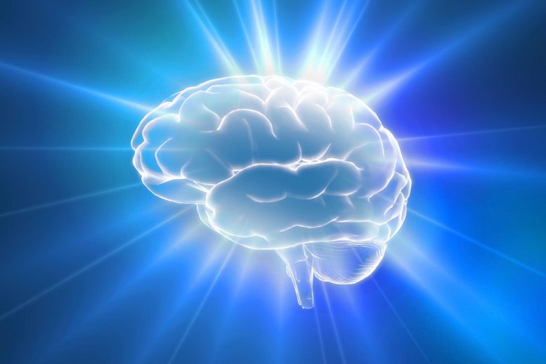 Brain Energy Boost Concept