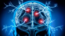 Brain Energy Electric Activity