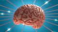 Brain Energy Signals Concept