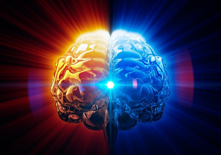 Brain Enhancement Concept