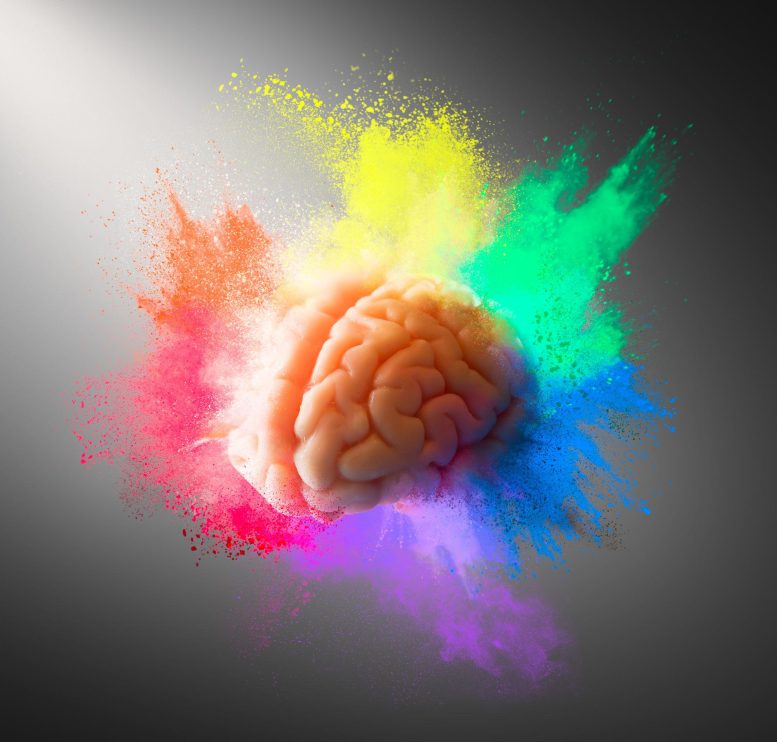 Brain Exploding Rainbow Creativity