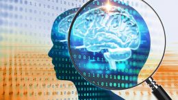 Brain Gains Knowledge Through Observation