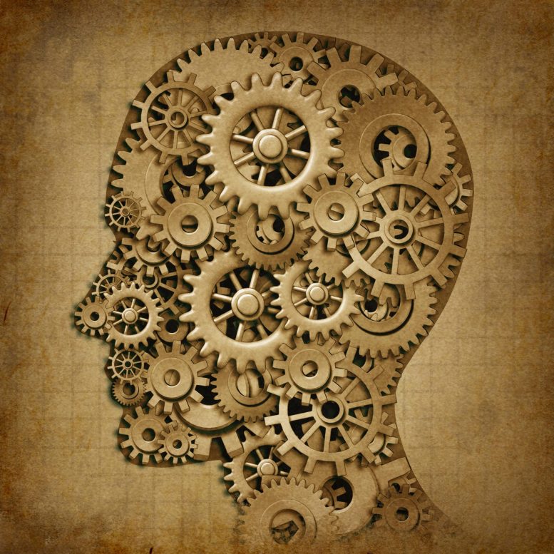 Brain Gears Memory Intelligence