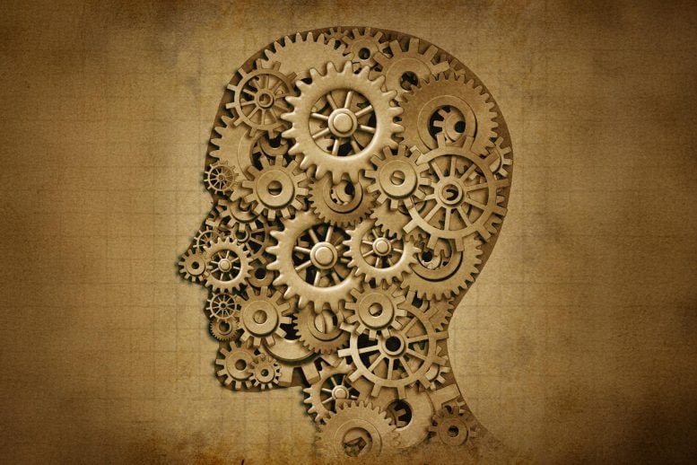 How the Brain Chooses What to Remember and What to Forget