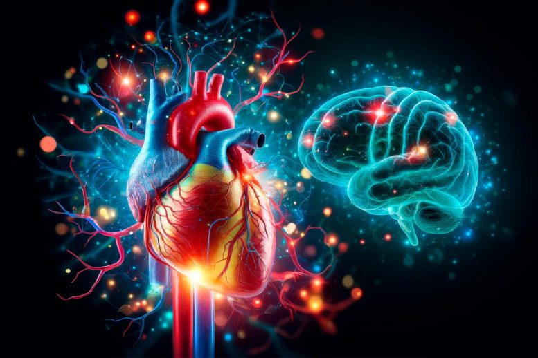 Brain Heart Genetics Concept