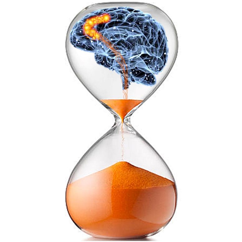 Brain Hourglass