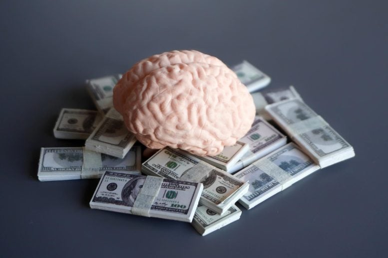 Brain Intelligence Business Money Cash