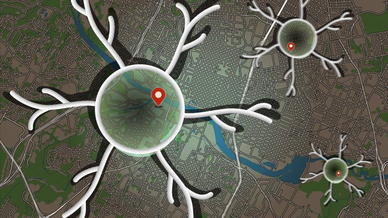 MIT Neuroscientists Discover Brain Cells That Encode the Outcomes of ...