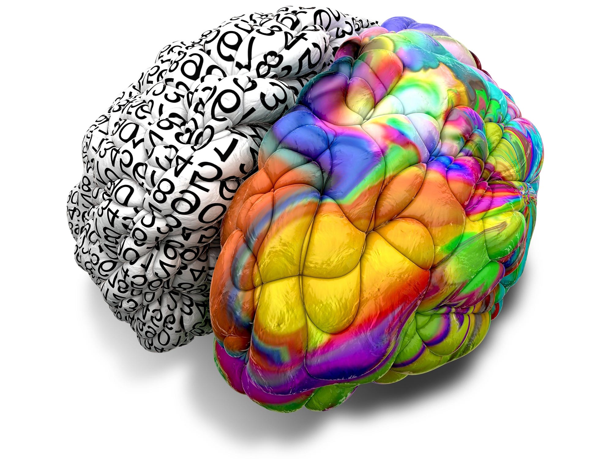 Разные полушария мозга. Полушария мозга. 2 Полушария мозга. Левое и правое полушарие мозга. Разноцветный мозг.