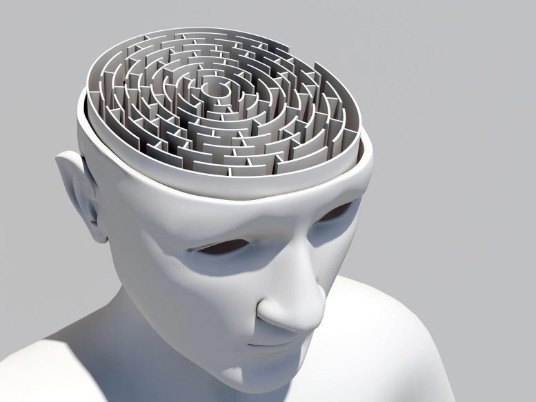 Brain Maze Illustration