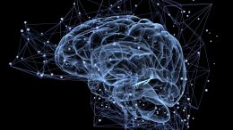 Brain Memory Concept