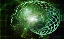 Brain Memory Intelligence Consciousness
