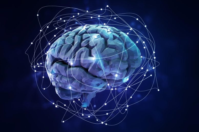 Brain Neural Network Neuroscience