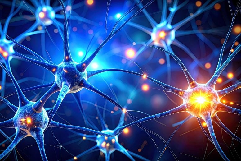 Breakthrough Alzheimer’s Drug Has a Hidden Problem