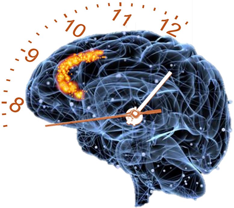 Ilustração do tempo de processamento cerebral