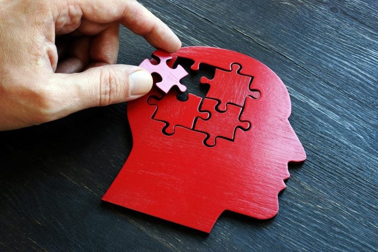 Brain Puzzle Dementia Memory Treatment