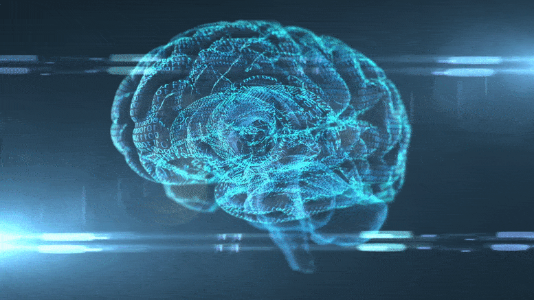 Brain Scan AI Analysis