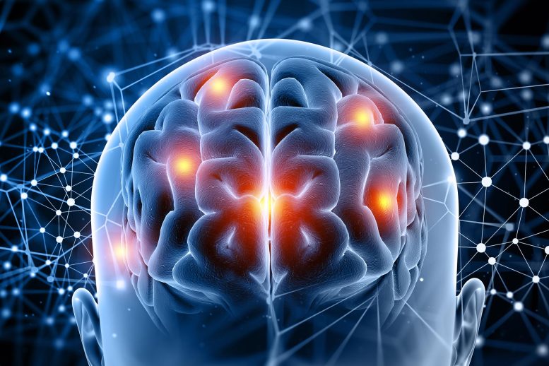Brain Signals Activity Technology Illustration