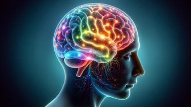 Brain Signals Connections Flexibility Concept