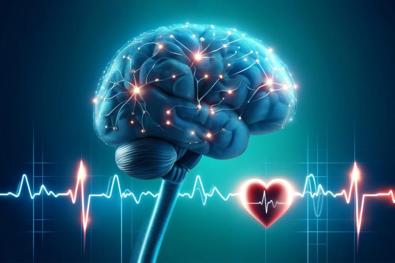 Brain Signals Heart Rate