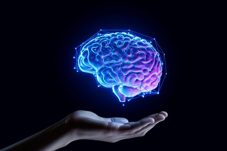 Brain Support Hand Holding Neuroscience Treatment