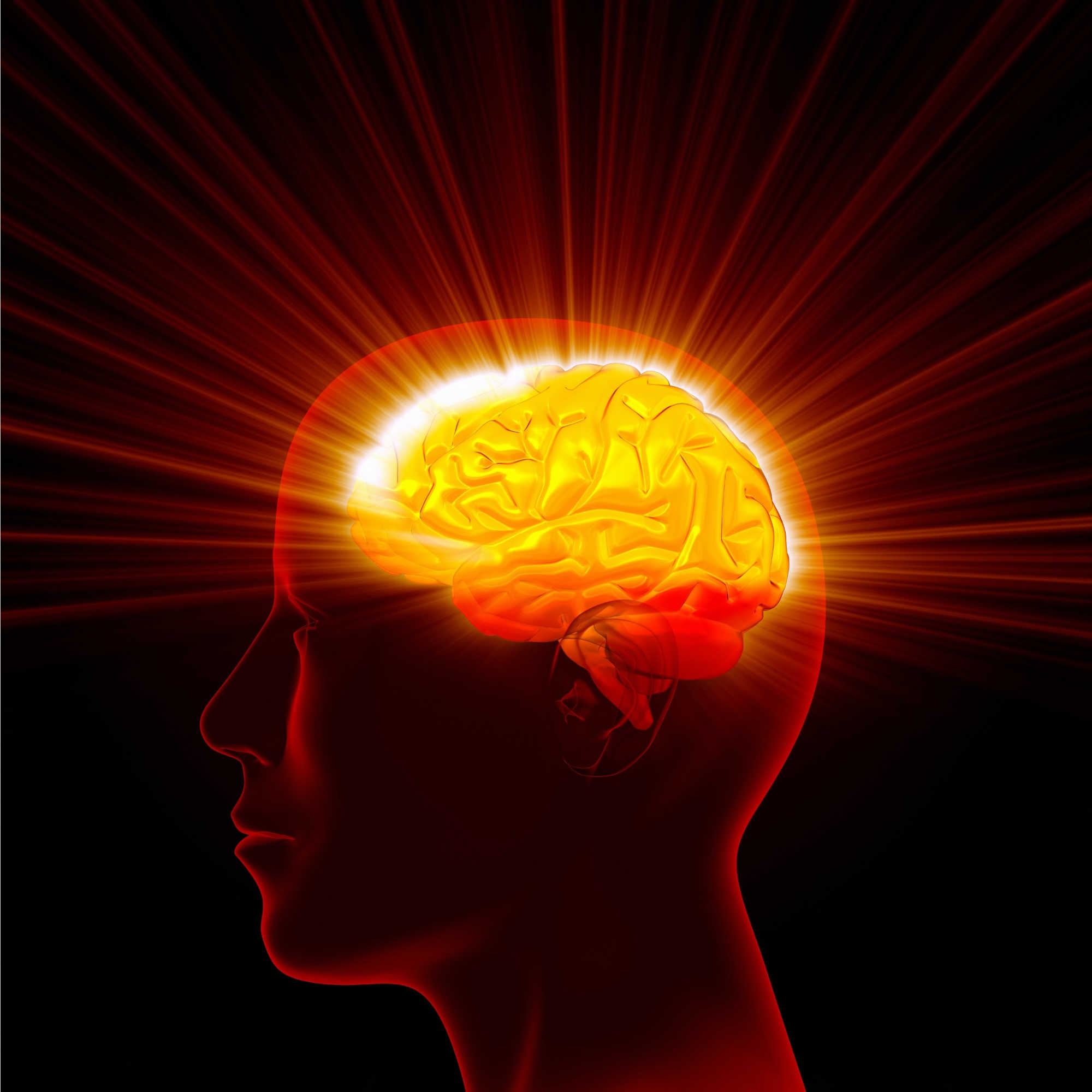 Brain Surprise Neuroscience