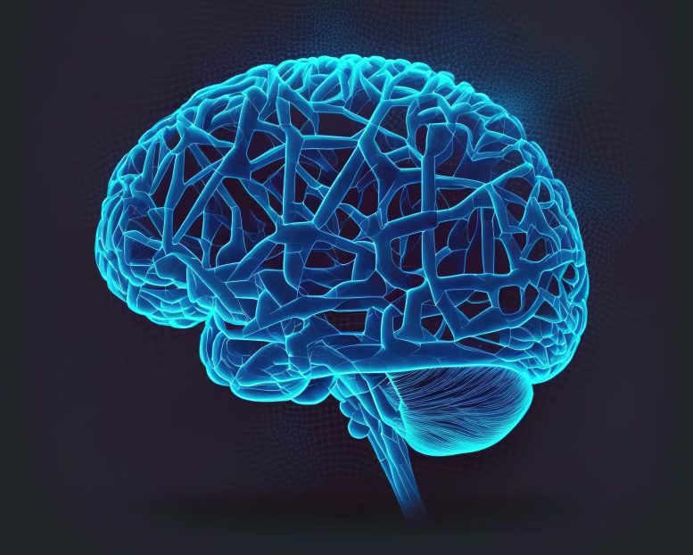 Brain Technology Computer Rendering