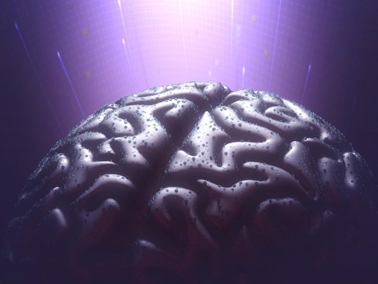 Brain Technology Universal Mind Concept