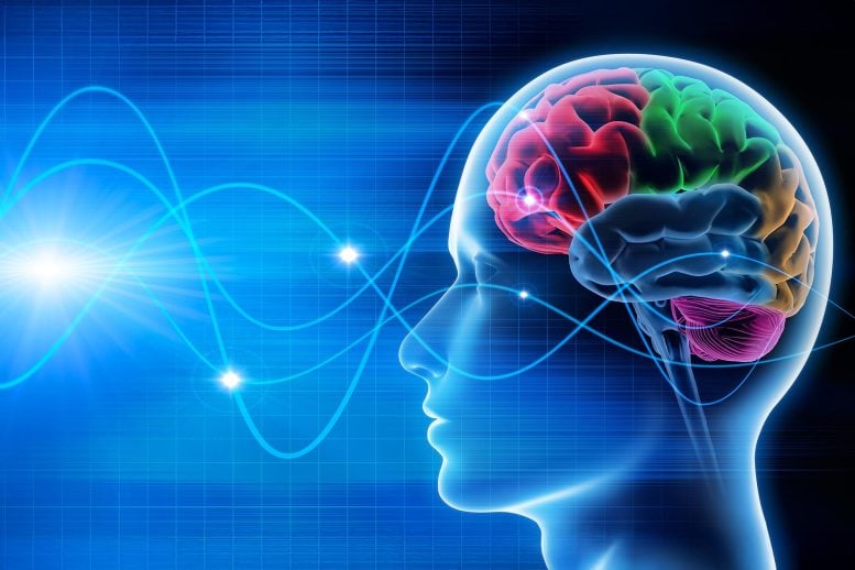 Brain Wave Activity EEG Signals