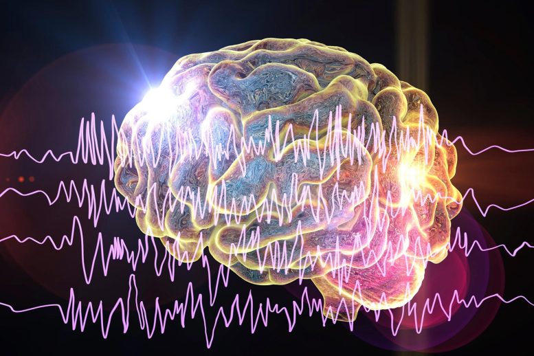 Brain Waves Activity Signals