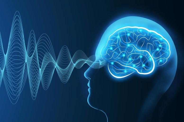 Brain Waves EEG Signals Neuroscience Treatment