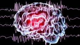Brain Waves in Epilepsy