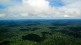 Brazilian Amazon Aerial View
