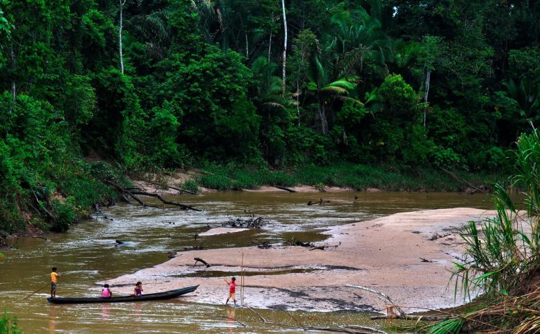 Brazilian Amazonia Riozinho da Liberdade Extractive Reserve