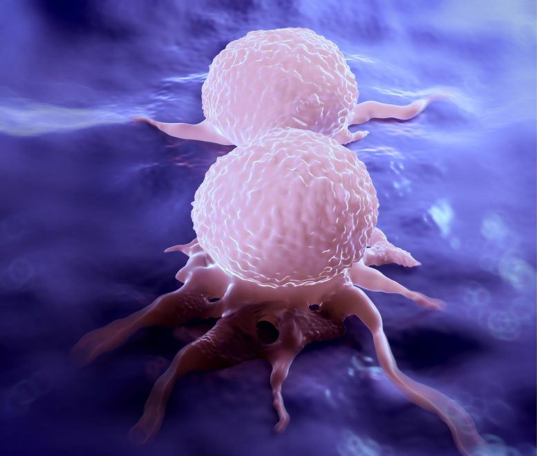 Breast Cancer Cells Dividing Illustration