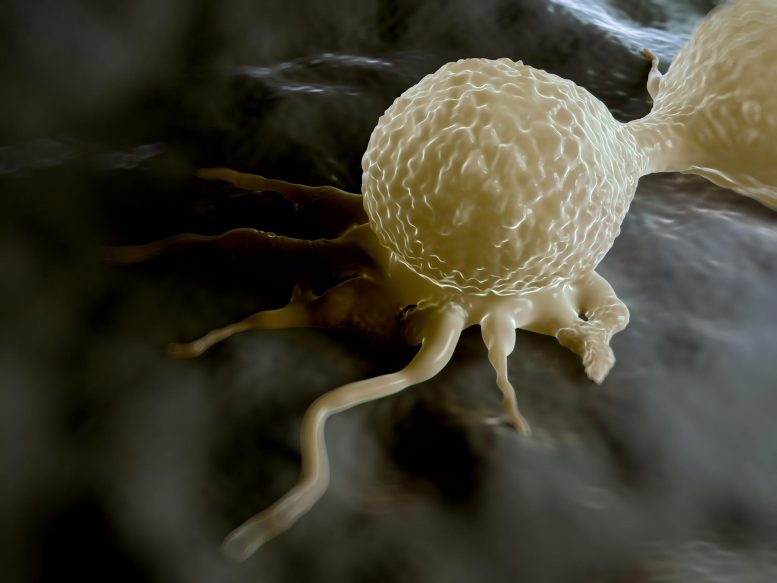 Breast Cancer Cells Dividing Rendering