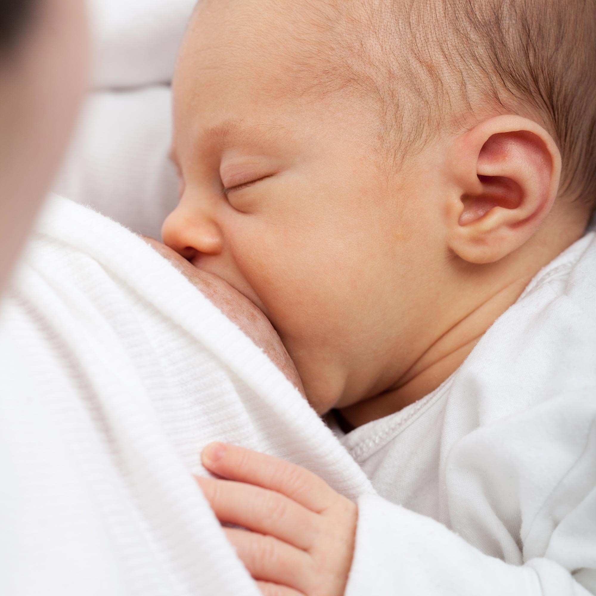 Research Shows Vaccinated Women Pass COVID-19 Antibodies to Breastfeeding Babies thumbnail