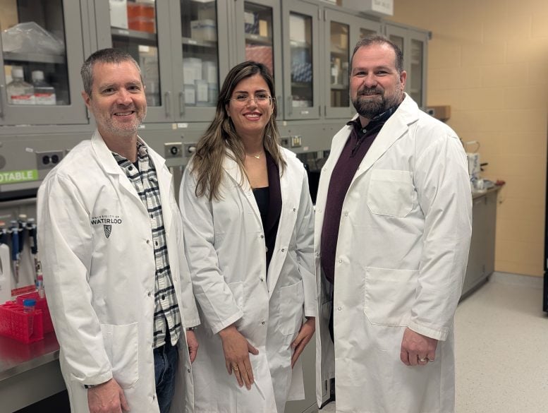 Brian Ingalls, Sara Sadr and Marc Aucoin