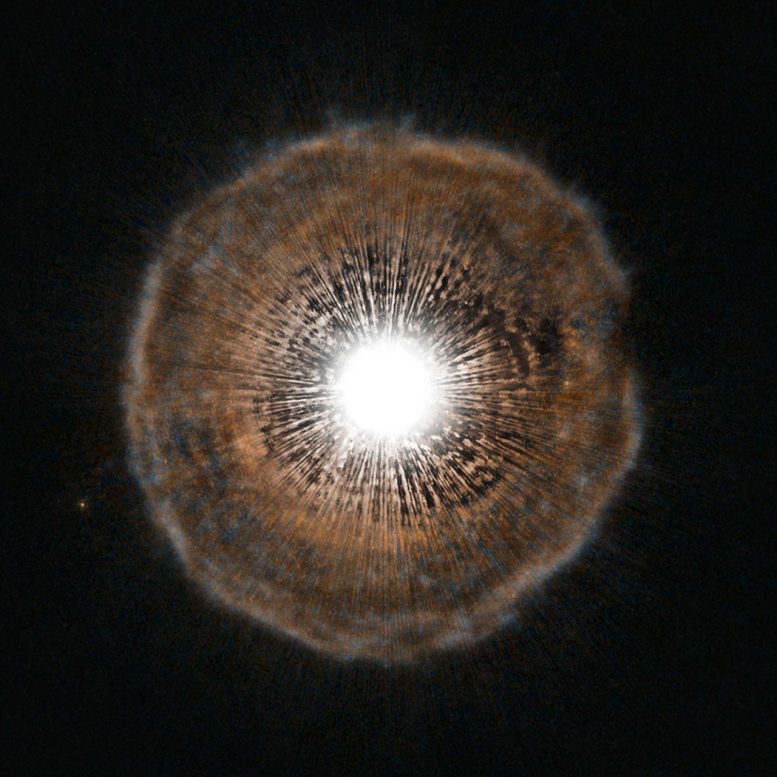 Bright Star U Camelopardalis Surrounded by Shell of Gas