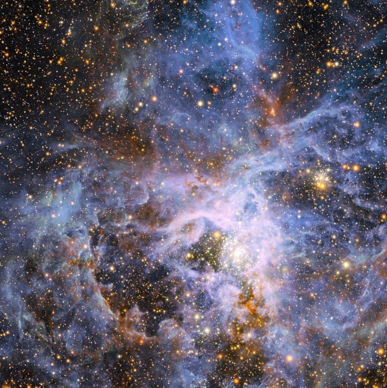 Brilliant Star VFTS 682 in the Large Magellanic Cloud