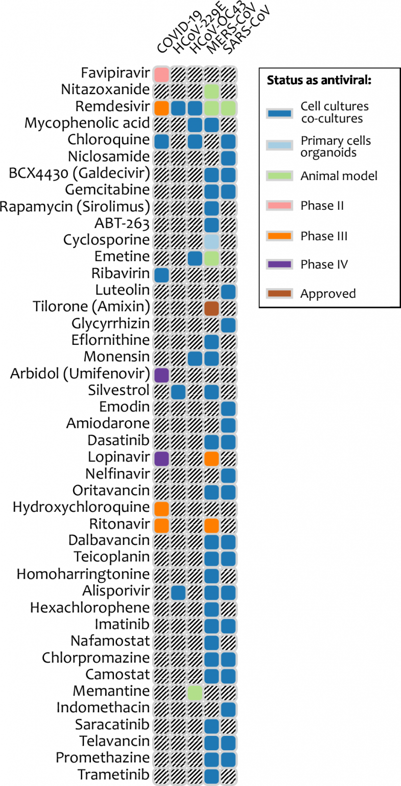 BroadSpectrum Antiviral Agents Could Be a Quick Response to a COVID19