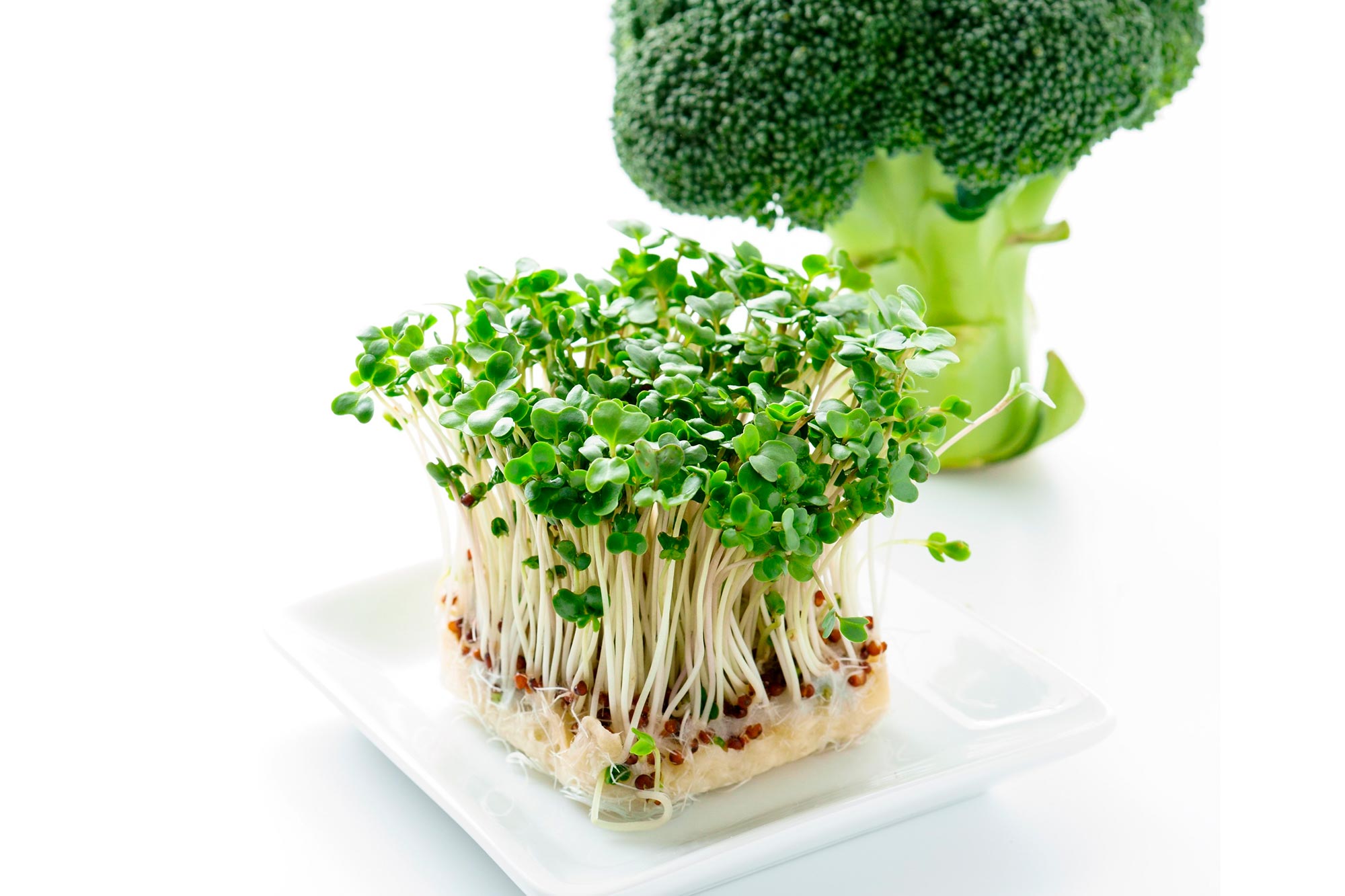 Broccoli Sprouts Benefits For Women