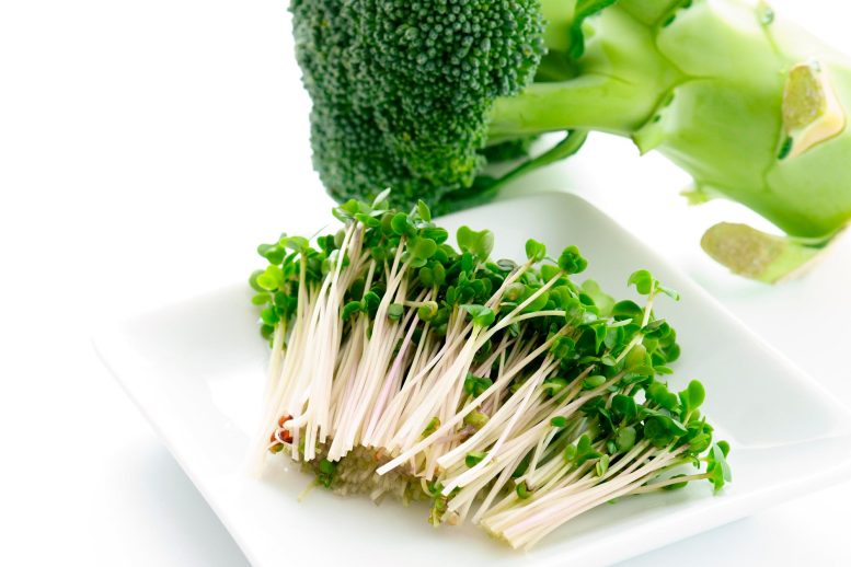 Broccoli and Broccoli Sprouts