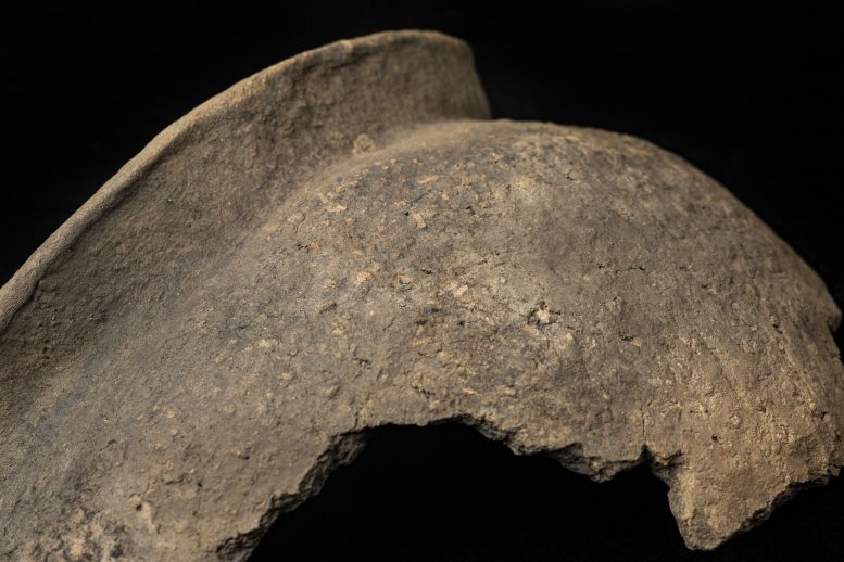 Broken Pottery Vessel From Mission San Francisco de Potano
