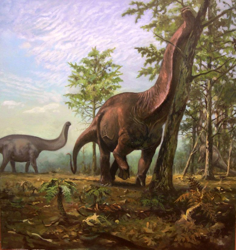Brontosaurus in a Warm and Vegetated Landscape