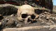 Bronze Age Skull Tollense Valley