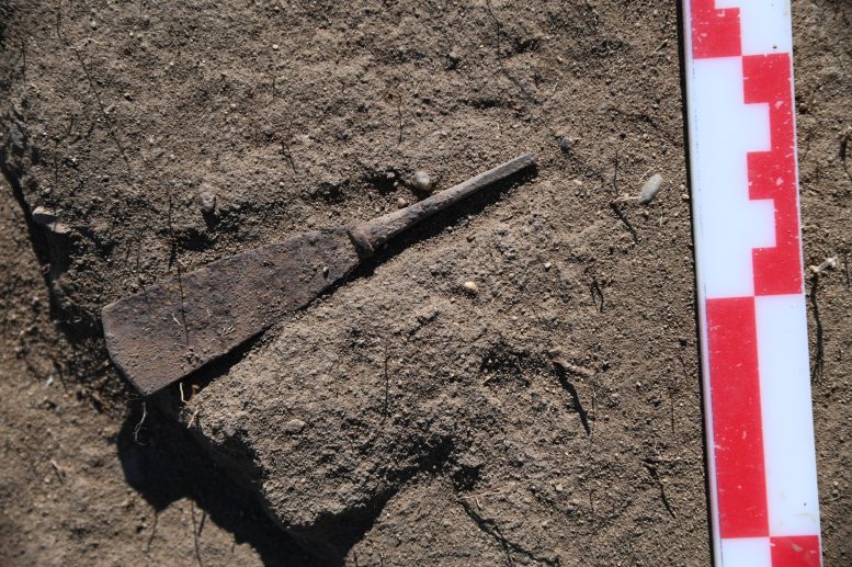 Bronze Object In Situ