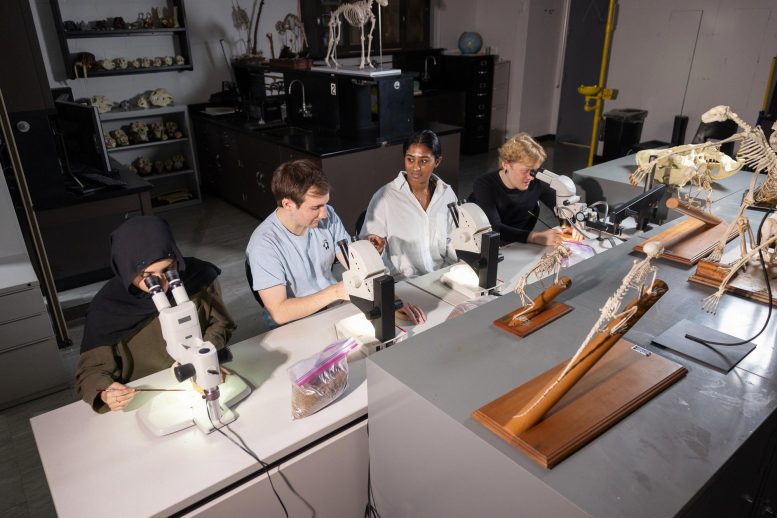 Brooklyn College Undergraduate Research Assistants