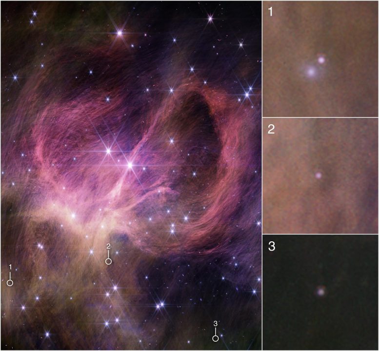 Brown Dwarfs in IC 348 (Webb NIRCam Image)