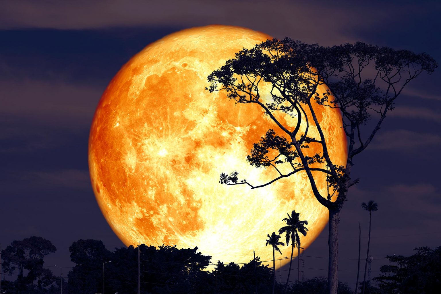 The Next Full Moon Is the Buck Moon Here’s Everything You Need to Know